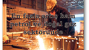 Yurt içi üretici fiyat endeksi aylık %3,03 arttı