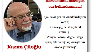 Dam üstünde saksağan vur beline kazmayı!