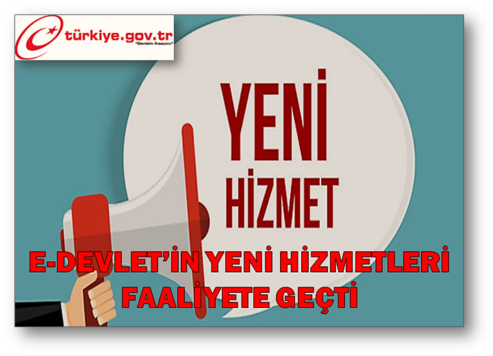 E Devlet Kapisi Ve E Devlet Sorgulamalari