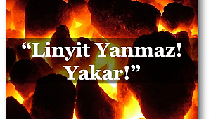 EKOLOGOS: Linyit yanmıyor, yakıyor!