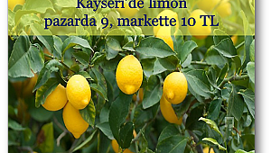 Kayseri'de limon, pazarda 9, markette 10 TL
