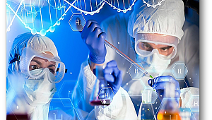 Kimya sektörünün en çok ihracat yaptığı ülke ABD