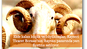 Kurbanlıklar yarı fiyatına satılıyor