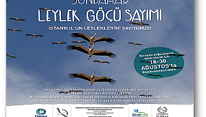 Leyleklerin sonbahar göçüne tanık olmak ister misiniz?