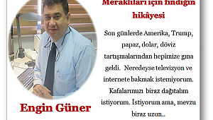 Meraklıları için fındığın hikâyesi