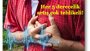 Sıcaklarda kalbinizi koruyun