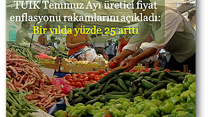 Üretici fiyatlarında enflasyon yıllık artışı yüzde 25 oldu. Yıllık en fazla artış enerjide