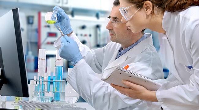 133 milyon yeni iş fırsatı doğacak