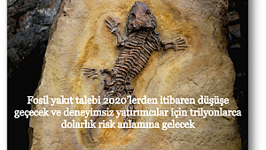 2020'lerde fosil yakıtlarda düşüş başlayacak