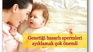 Cinsel perhiz süresi tüp bebek başarısını etkiliyor