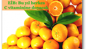 EİB: Bu yıl herkes C vitaminine doyacak