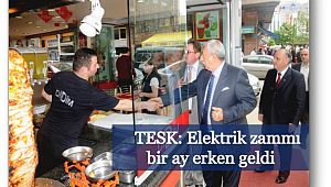 Enerjideki zamlarını devlet süspanse etmeli