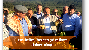 Selçuk'ta üzüm festivali coşkusu