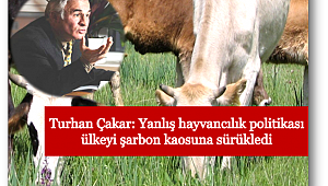 Tüketicilere çağrı: Damgasız et almayın!