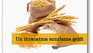 Un ihracatına sınırlama geldi