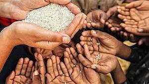 2050'de 10 milyar insanı beslemek mümkün