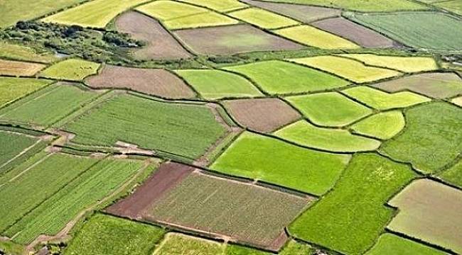 EYVAH: 25 yılda Konya büyüklüğünde tarım alanını kaybettik