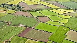 AB - 'Dikey tarım ve hassas sulamayı' konuşmaya başladı!