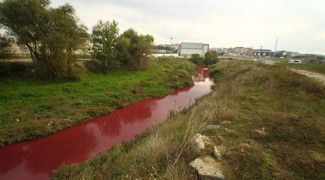 Çorlu Deresi kan ağlıyor