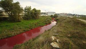 Çorlu Deresi kan ağlıyor