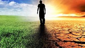İklim değişikliğine karşı mücadele ediyorlar