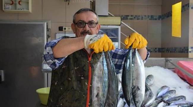 Palamudun tanesi 5 liraya geriledi!