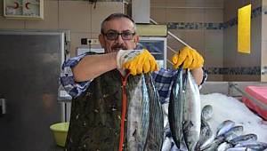 Palamudun tanesi 5 liraya geriledi!