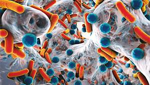 Tüketiciler sağlık için yeni haber: MİKOBİYOM