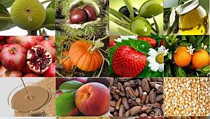 “Yerel ürünlerin satışı e-ticaretle artacak”