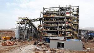 Bitki saplarından elektrik üretilecek