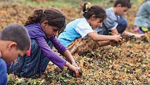 Çocuk işçiliği masaya yatırılıyor