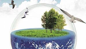 EPDK yayınladı: LİSANSSIZ ELEKTRİK için taslak 