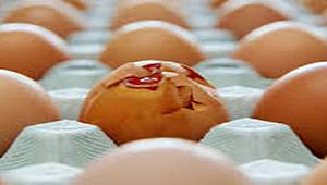 Haklarınızı bilin: Ayıplı malı kabul etmeyin