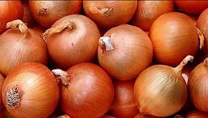 SOĞAN fiyatı yarı yarıya DÜŞTÜ