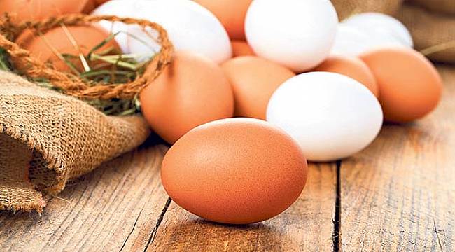 Yumurtada ihracat artıyor, fiyatlar aşağı inmiyor