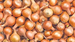 Kasımda ZAM ŞAMPİYONU SOĞAN oldu