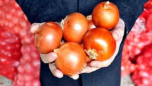 Rekabet Kurumu'ndan SOĞANA YAKIN TAKİP