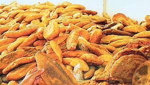 Haftada iki ekmek çöpe gidiyor