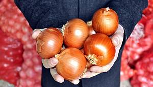 Kuru soğanda gümrük vergisi sıfırlandı