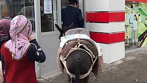 Poşet zammı ironisine ilk ceza geldi