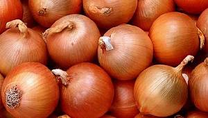Soğanın fiyatı iki ay içinde 10 TL'ye çıkabilir