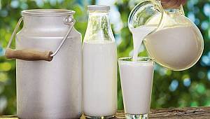 Süt ve yumurta üretimi düştü