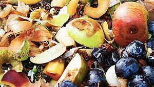 18 bin ton sebze ve meyve çöpe gidiyor