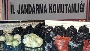 Çaldıkları meyve-sebzeleri ucuza satıyorlardı