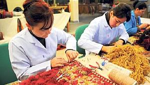 Girişimciliğin artması için mikro krediler yaygınlaşmalı