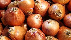 Kuru soğanda sıfır gümrük vergisinin süresi uzatıldı