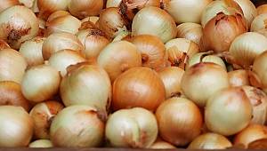 "Soğan seçimlerden sonra 10 TL olacak" iddiası