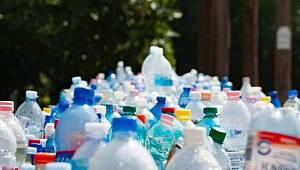 AP, tek kullanımlık plastik ürünleri yasakladı