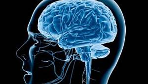 Beyin 90 yaşına kadar yeni hücre üretebiliyormuş