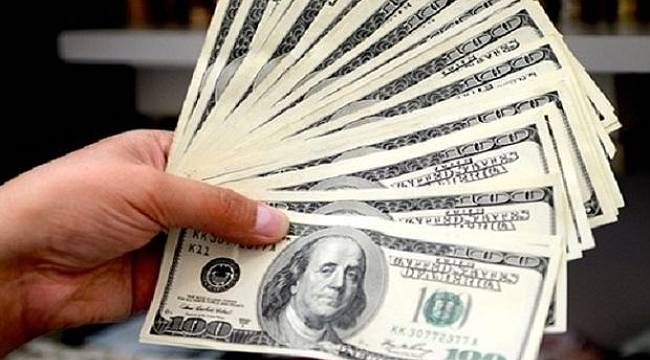 Dolar güne hareketli başladı